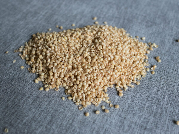 Hirseschalen als Füllung für Körnerkissen als Nahaufnahme auf grauem Hintergrund