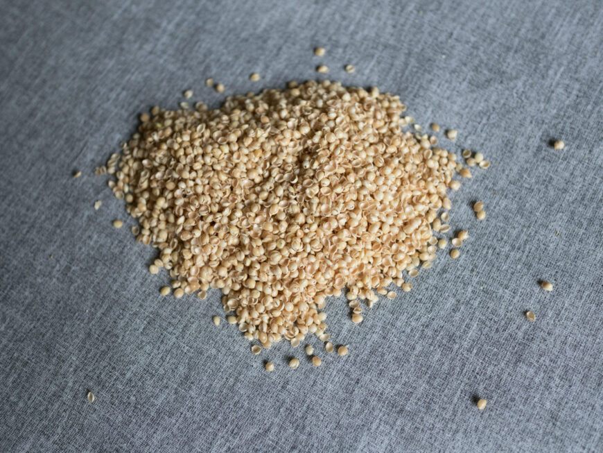 Hirseschalen als Füllung für Körnerkissen als Nahaufnahme auf grauem Hintergrund