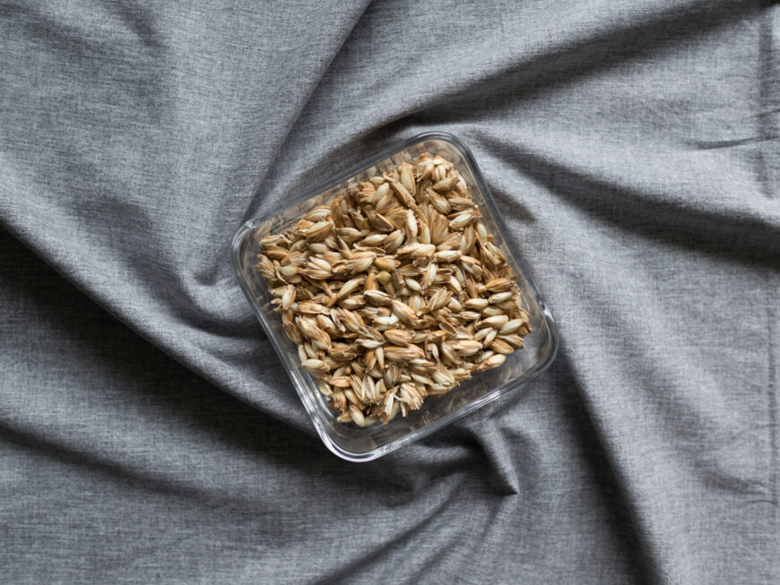 Dinkelspelzen in Glasschüssel für Körnerkopfkissen auf grauem Hintergrund.