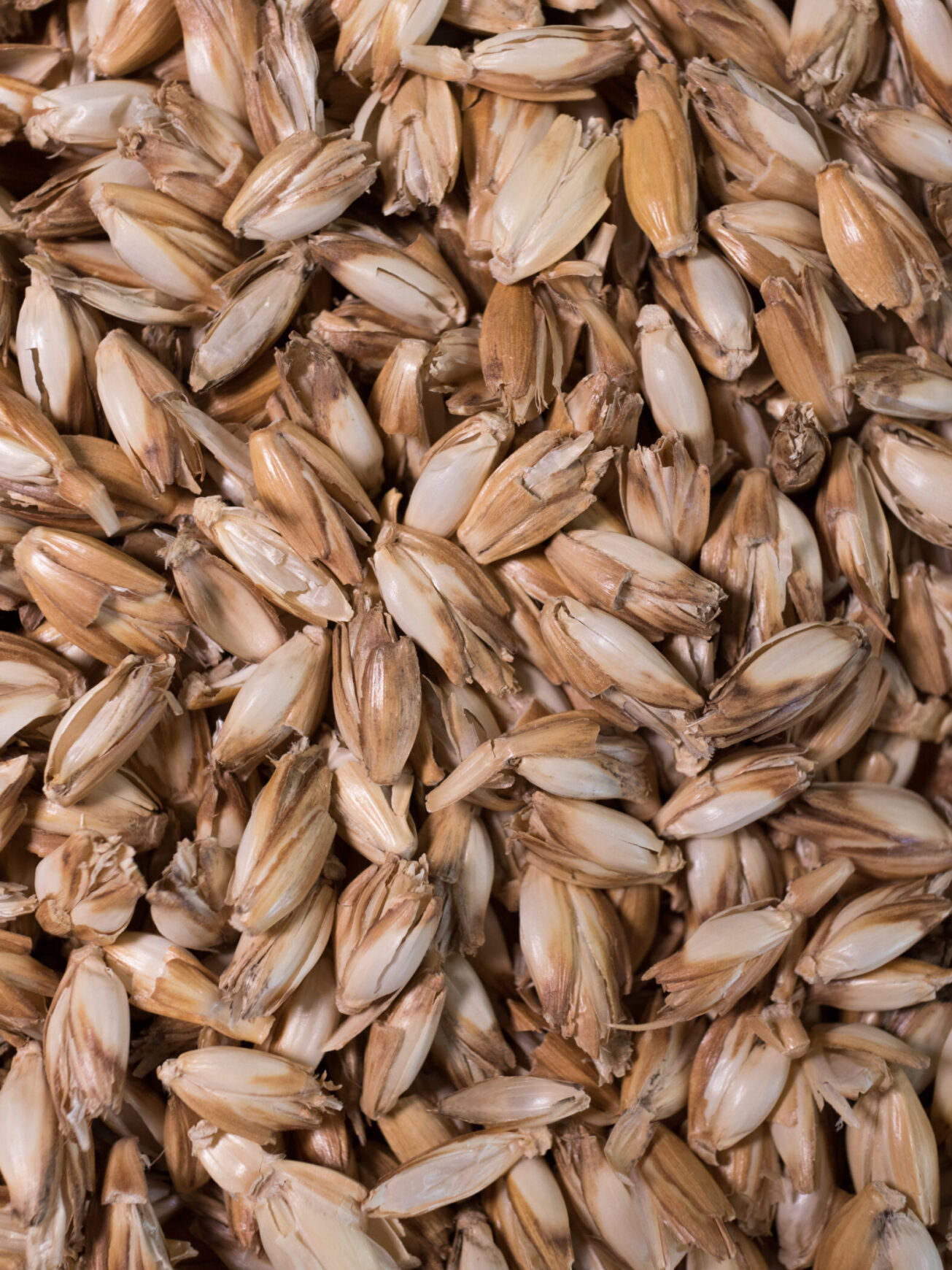 Dinkelspelzen Kissenfüllung Nahaufnahme